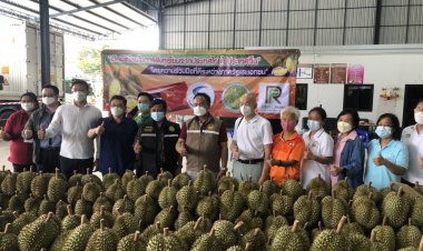 “อลงกรณ์”เผยเตรียมส่งออกทุเรียนล็อตใหม่ด้วยรถไฟ”จีน-ลาว”กลางสัปดาห์หน้า
