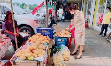 พาณิชย์ตาก ลงเดินตลาด ติดตามแก้ไขปัญหาการจำหน่ายมะม่วงของเกษตรกรชาวสวนพิจิตร 