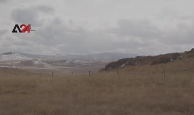 ผืนป่าที่ได้รับการคุ้มครองในดินแดนที่รกร้างว่างเปล่า (ชมคลิป)