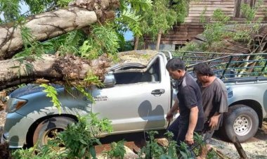 ระทึก!พายุฤดูร้อน ถล่มตาก ฝนฟ้าคะนอง ลมกระโชกแรงมีฟ้าผ่า-ชาวบ้านเจ็บ 1