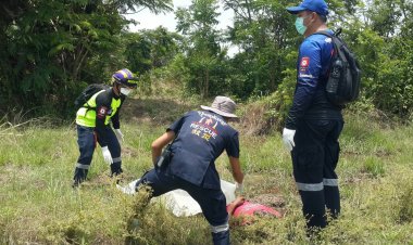 พบหนุ่มหายตัวแล้ว!!กลายเป็นศพอยู่กลางทุ่งนา