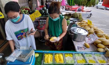 กระแส"มิลลิ ฟีเวอร์"ดันขายข้าวเหนียวมะม่วงเมืองเบตงรายได้พุ่ง(ชมคลิป)