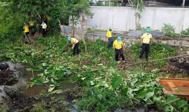 นอภ.ภูสิงห์นำจิตอาสพระราชทานกำจัดผักตบชวา