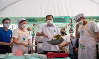 “อนุทิน”หนุนปลูกกัญชาเพื่อการแพทย์-ปรุงอาหารเมนูเด็ดเพิ่มมูลค่า