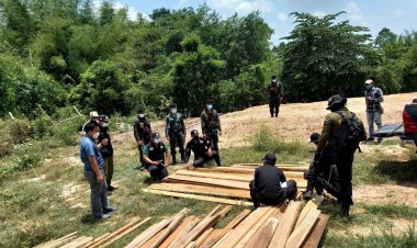 ตำรวจป่าไม้แม่สอดสนธิกำลังเข้าตรวจยึดไม้แปรรูปซุกซ่อนบ้านไม่มีเลขที่