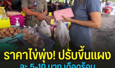 เดือดร้อนถ้วนหน้า-ราคาไข่พุ่งแผงละ-5-10 บาทโดยคนซื้อก็ซื้อน้อยลง-ส่วนคนขายทั้งยอดขายลดลงกำไรต่อแผงน้อยลงด้วย