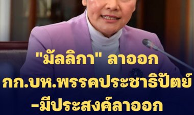 "มัลลิกา" ลาออก กรรมการบริหารพรรคปชป.-ล่าสุดมีประสงค์ลาออกอีก 7-8 ราย