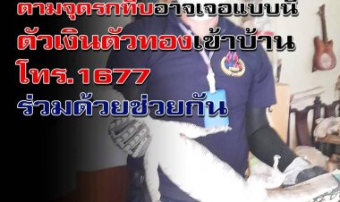 ระวัง! ตามจุดรกทึบอาจเจอแบบนี้ ตัวเงินตัวทองเข้าบ้าน