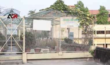 การทำสวนบนหลังคาเป็นงานอดิเรกและการหารายได้