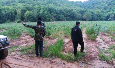 กลุ่มไลน์เฝ้าระวังช้างป่าเดินหน้าบุกยื่นแก้ปัญหาช้างป่าล้นผืนป่าออกหากินนอกป่า(มีคลิป)