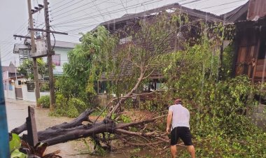 พายุฤดูร้อนถล่มอำเภอบ้านไผ่ซัดบ้านเรือนพังยับ-โค่นต้นไม้ใหญ่ขวางถนน (มีคลิป)
