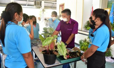 ผอ.ศปพร.อบรมเพาะเลี้ยง-ขยายพันธุ์บอนสี ต้นไม้ทรงโปรดพระบรมราชชนนีพันปี