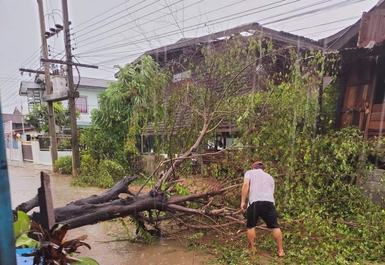 พายุฤดูร้อนถล่มอำเภอบ้านไผ่ซัดบ้านเรือนพังยับ-โค่นต้นไม้ใหญ่ขวางถนน (มีคลิป)