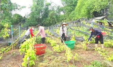 พายุฤดูร้อนถล่มปราจีนฯพัดหลังคาบ้านเสียหายหนัก
