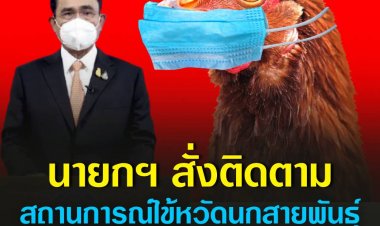 นายกฯ สั่งติดตามสถานการณ์ไข้หวัดนกสายพันธุ์ H3N8 ใกล้ชิด หลังพบผู้ป่วยที่จีน ขอเกษตรกรดูแลประเมินสัตว์ปีกตัวเอง