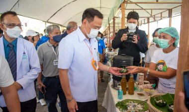 "อนุทิน" ลง "พัทลุง" ปลุกปชช.ปลูกกัญชาพืชศก.ตัวใหม่