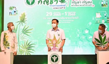 มหกรรมกัญชาที่พัทลุงสุดคึกคัก-ชาวใต้ทะลักร่วมงานสนใจปลูกกัญชาเพื่อเชิงพาณิชย์