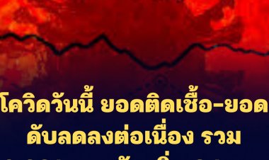 ยอดผู้ติดเชื้อโควิดลดลงต่อเนื่อง รวม 9,331 ราย ดับเพิ่ม 84 ราย ปอดอักเสบ รักษาตัวอยู่ในโรงพยาบาล 1,751 ราย