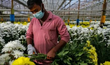 ยาใจแรงงาน!มาเลเซียขึ้นค่าแรงขั้นต่ำตามเสียงเรียกร้อง 35%