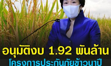 ครม. อนุมัติ 1.92 พันล้านบาท โครงการประกันภัยข้าวนาปี ปี 65