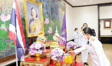 ปทุมธานีมอบเมล็ดพันธุ์ผักพระราชทานถั่วฝักยาวสีม่วง สิรินธรแก่ราษฎรทั้ง 7 อำเภอ