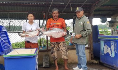 อำนาจเจริญเจอสภาพอากาศวิปริต  แปรปรวนอย่างหนักอุณหภูมิ 20อาศา