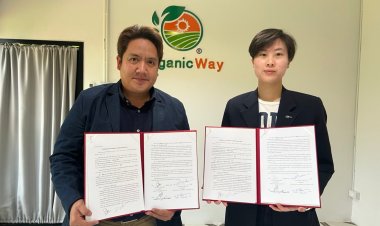 ‘ออร์กานิค เวย์’วางยุทธศาสตร์จัดทีมตลาดดันบ.ลูกบุกไทย-อาเซียน