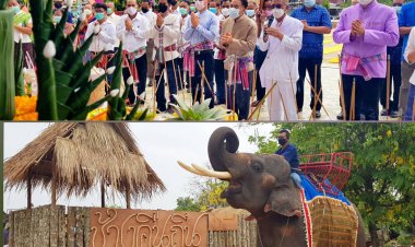 ชาวบ้านค่ายชัยภูมิร่วมสืบสานประเพณีช้างคืนถิ่น คึกคัก