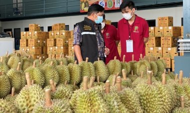 “เฉลิมชัย”มั่นใจทุเรียนไทยครองแชมป์ตลาดจีนแสนล้าน