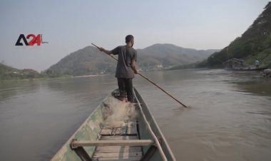 เขื่อนในจีนส่งผลกระทบกับปลาในประเทศเพื่อนบ้าน