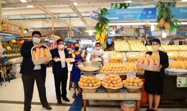 “เกษตร-พาณิชย์”เร่งส่งออกผลไม้ปั๊มเงินเข้าไทย 2.8 แสนล้านบาท