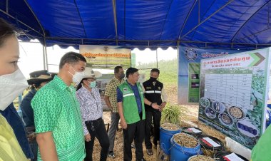 “เฉลิมชัย”ผลักดันประจวบคีรีขันธ์ขึ้นชั้นเมืองหลวงสัปปะรดโลก