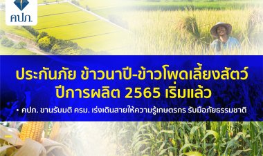 เริ่มแล้ว!ประกันภัยข้าวนาปี-ข้าวโพดเลี้ยงสัตว์ ปีการผลิต 2565