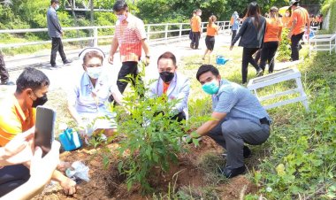 รพ.ศรีสะเกษ จัดกิจกรรมปลูกต้นไม้ เนื่องในวันปลูกต้นไม้ประจำปีของชาติ
