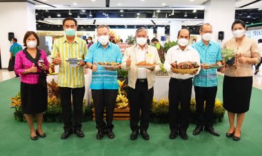 มหกรรมสินค้าเกษตรปลอดภัยและของดีเมืองปากน้ำ (มีคลิป)