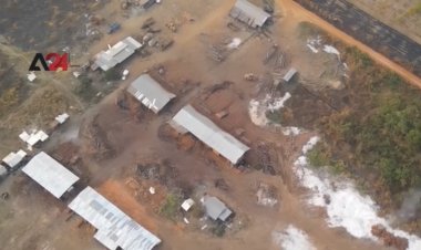 โกดังของบริษัทตัดไม้ต่างประเทศเป็นภัยคุกคามต่อชนกลุ่มน้อยและสัตว์ป่า (ชมคลิป)