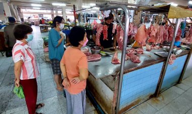 หมูยะลาขยับราคาขึ้น 230 บาทต่อกิโลกรัมคาดทะลุ 260 บาท (ชมคลิป)