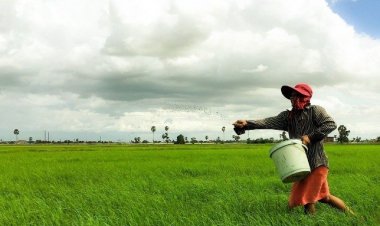 กลุ่มเกษตรกรทำนาตะโหมด พลิกผัน “ผู้หญิง” กลับเป็นช้างเท้าหน้า