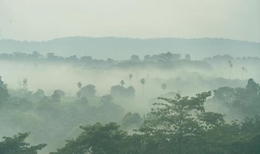 สูดกลิ่นโอโซน ดมกลิ่นน้ำฝน สัมผัสทะเลหมอกวังน้ำเขียวซบไออุ่นแห่งขุนเขา