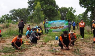 เทศบาลตำบลหนองใหญ่ ปลูกต้นไม้ตามโครงการปลูกต้นไม้เพื่อแผ่นดิน