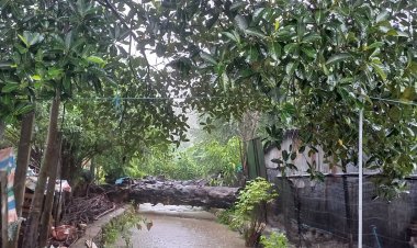 ฝนถล่มแม่สอดระดับน้ำในลำห้วยไหลแรงเพิ่มสูงขึ้นเสี่ยงเอ่อท่วมเมือง(มีคลิป)