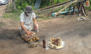 หนุ่มร่ำไห้!! แก้บน 3 เจ้าที่ หลังฝนตกหนักน้ำป่าไหลหลากพัด"เจ้าฉีเคอะ"หายไปช่วงกลางดึก ผ่านไม่ถึงครึ่งวันไปเจ้าฉีเคอะอยู่ห่างประมาณ 1 โล  บ้านหนองคันดี  ต.หนองบ่มกล้วย อ.บ้านไร่ จ. อุทัยธานี 