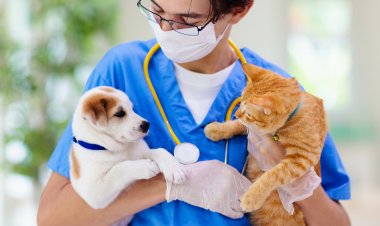 Zoetis ได้รับเลือกให้เป็นผู้จัดหาวัคซีนในโครงการธนาคารวัคซีนโรคพิษสุนัขบ้าของ OIE