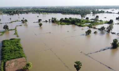 ชาวนาระทม!เพิ่งหว่านข้าวเขื่อนพิมายปล่อยน้ำท่วมกว่า 100 ไร่(ชมคลิป)