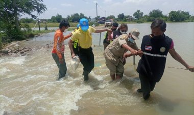 น้ำท่วมเมืองพิมายขยายวงกว้างจมนาข้าวทุ่งสัมฤทธิ์เสียหายหนัก (ชมคลิป)