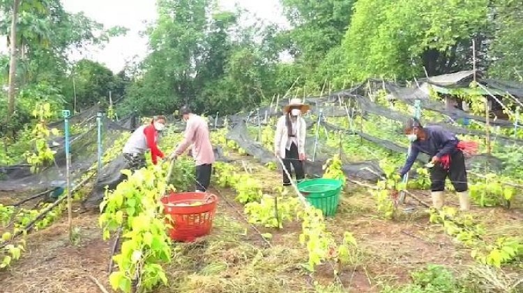 พายุฤดูร้อนถล่มปราจีนฯพัดหลังคาบ้านเสียหายหนัก