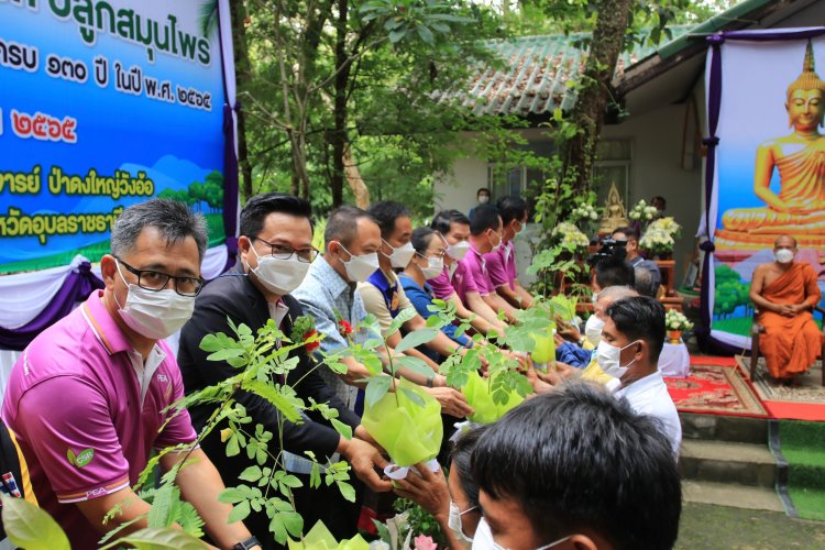 PEA จัดโครงการ PEA Go Green ปลูกสมุนไพรเมืองอุบลฯ