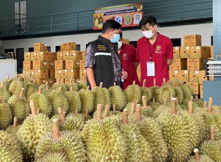 “เฉลิมชัย”มั่นใจทุเรียนไทยครองแชมป์ตลาดจีนแสนล้าน