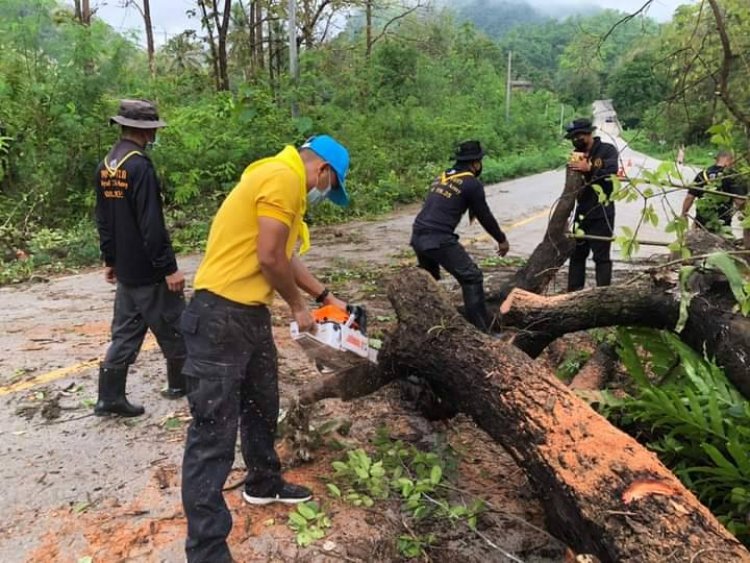 ฝนกระหน่ำลมกรรโชกแรงโค่นต้นไม้ล้มขวางถนนสายแม่สอด-แม่สะเรียง