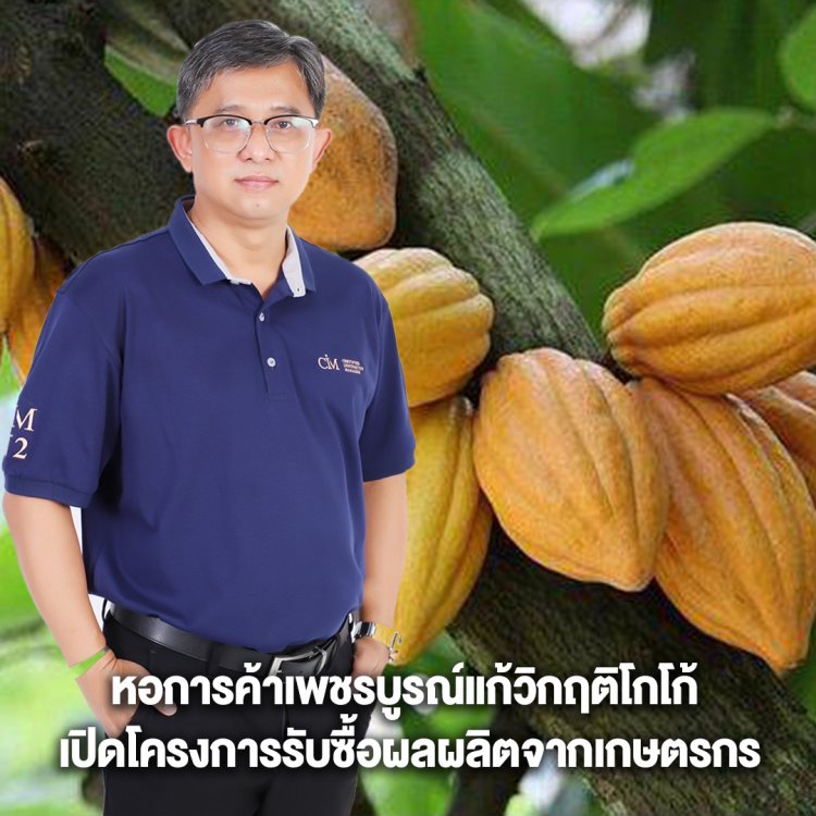 หอการค้าเพชรบูรณ์แก้วิกฤติโกโก้ เปิดโครงการรับซื้อผลผลิตจากเกษตรกร